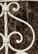 Wall_Art_Alphabet_Photography_Art_ 1998